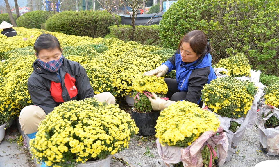 Sắc đ&agrave;o xứ Lạng - kết nối mu&ocirc;n phương