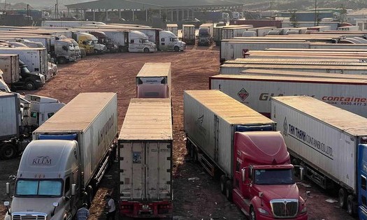 Hải quan trực 24/7, đẩy nhanh th&ocirc;ng quan thực phẩm nhập khẩu