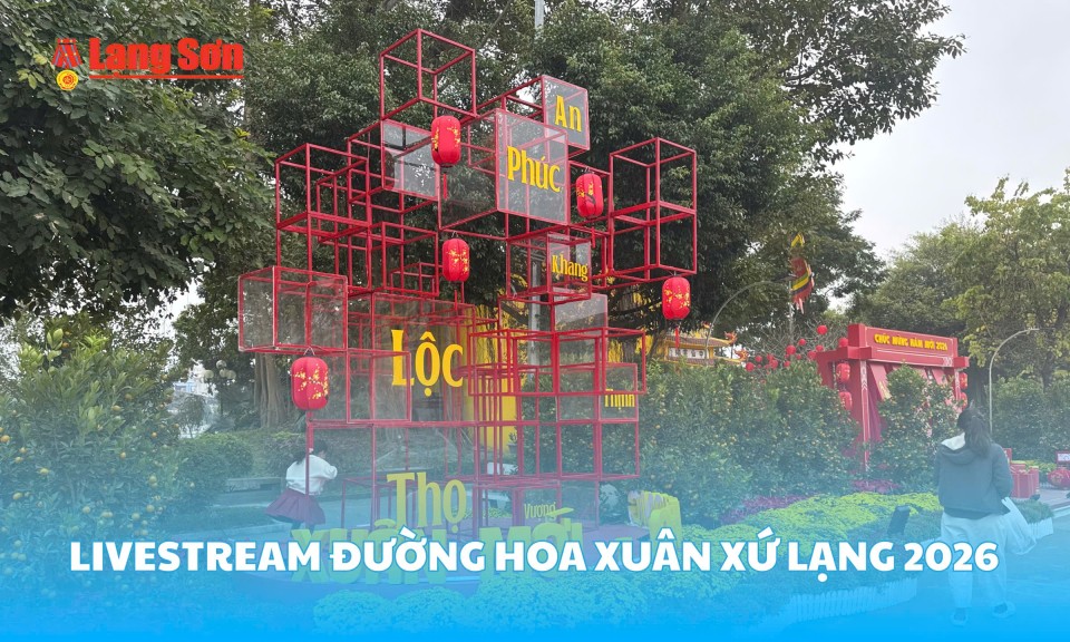 Livestream Đường hoa xu&acirc;n xứ Lạng