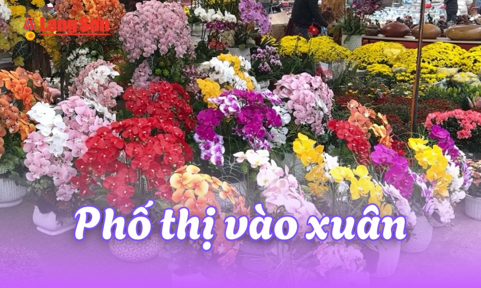 Phố thị v&agrave;o xu&acirc;n