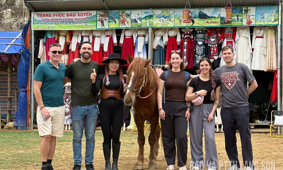 V&oacute; ngựa Đồng L&acirc;m