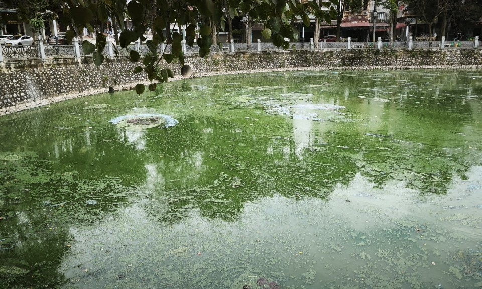 Hồ Phai Loạn bốc m&ugrave;i h&ocirc;i, ảnh hưởng đời sống người d&acirc;n