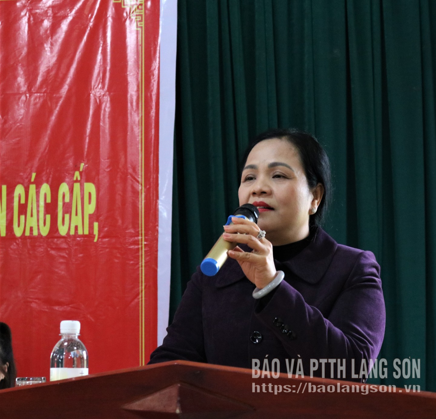 Bà Giáp Thị Bắc, Ủy viên Ban Thường vụ Tỉnh ủy, Trưởng Ban Tổ chức Tỉnh ủy phát biểu tại hội nghị tiếp xúc cử tri ở thôn 3, xã Đình Lập