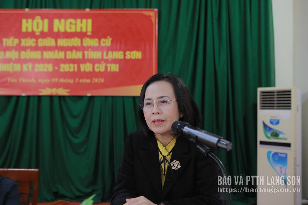 Bà Đoàn Thị Hậu, Phó Bí thư Thường trực Tỉnh ủy, Chủ tịch HĐND tỉnh trình bày chương trình hành động