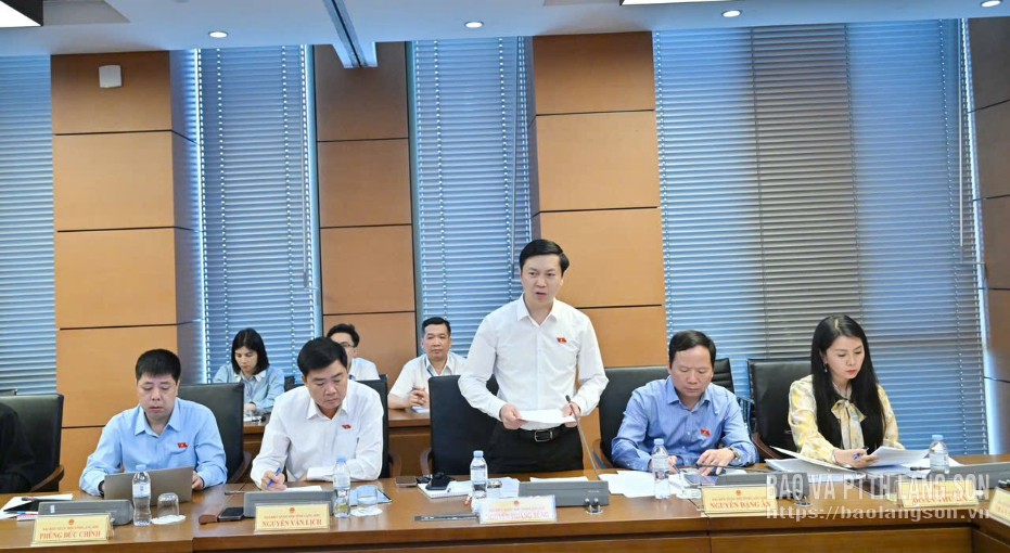 Đại biểu Nguyễn Hoàng Tùng, Ủy viên Ban Thường vụ Tỉnh ủy, Phó Chủ tịch Thường trực Ủy ban MTTQ Việt Nam tỉnh, ĐBQH tỉnh phát biểu thảo luận tại tổ 