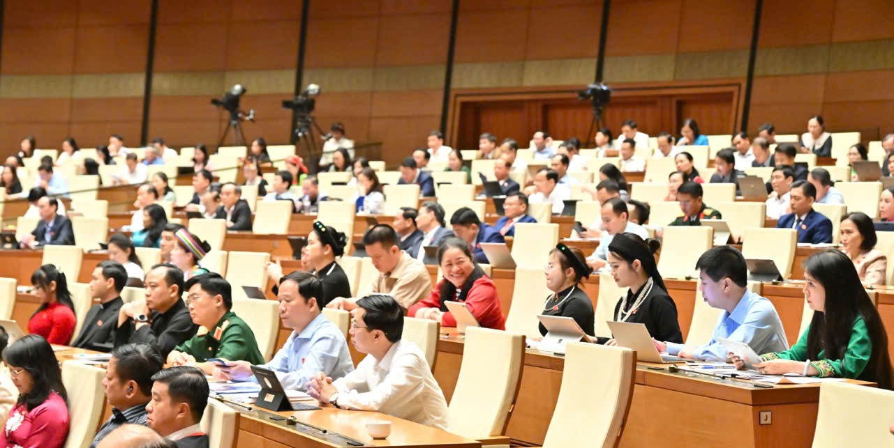 Các đại biểu dự phiên thảo luận tại hội trường