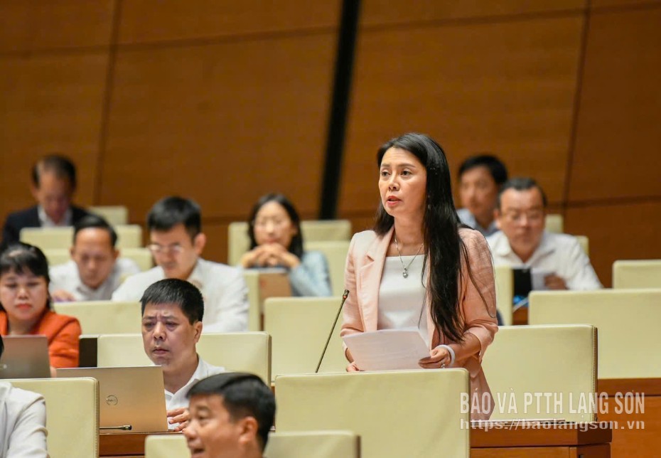 Đại biểu Đoàn Thu Hà, Phó Bí thư Tỉnh uỷ, Trưởng Đoàn ĐBQH tỉnh, Chủ tịch Ủy ban MTTQ Việt Nam tỉnh phát biểu thảo luận tại hội trường