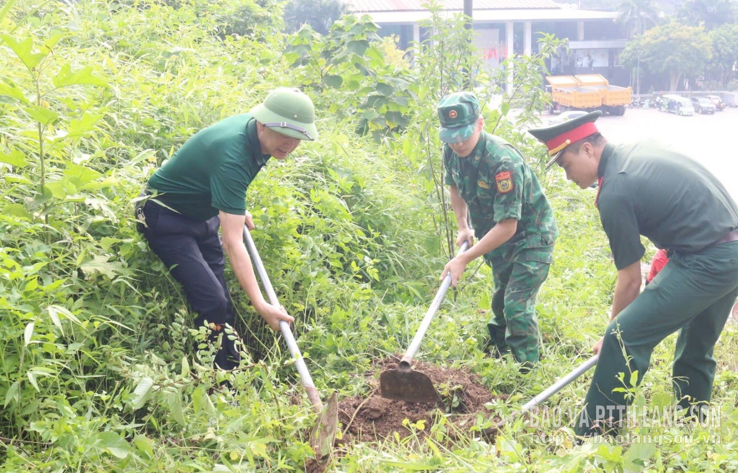 Các đại biểu trồng cây đào dọc đường lên mốc 1114/2.