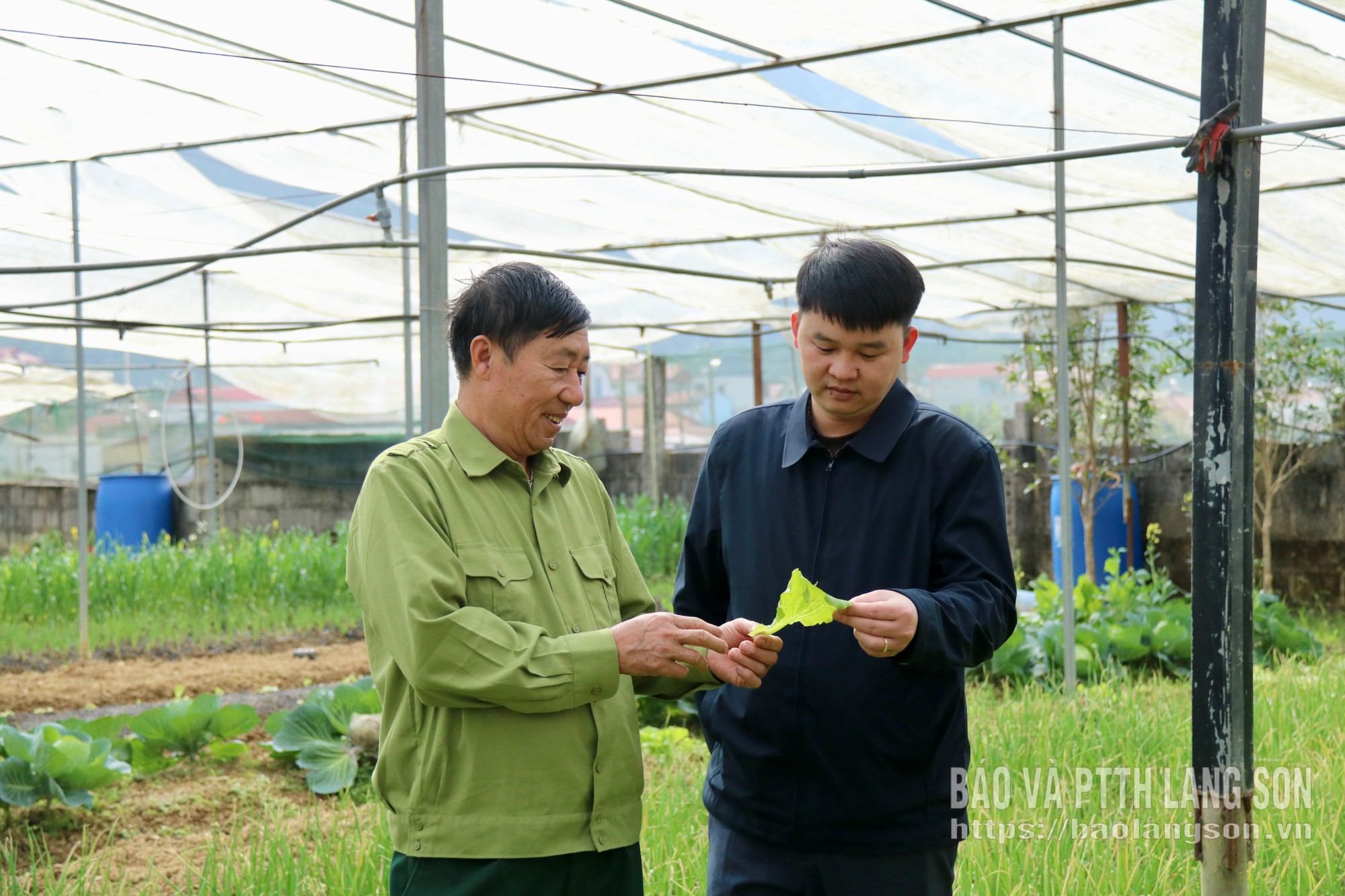 Cán bộ Hội CCB xã Bình Gia (bên phải) và hội viên trao đổi về kinh nghiệm phát triển kinh tế