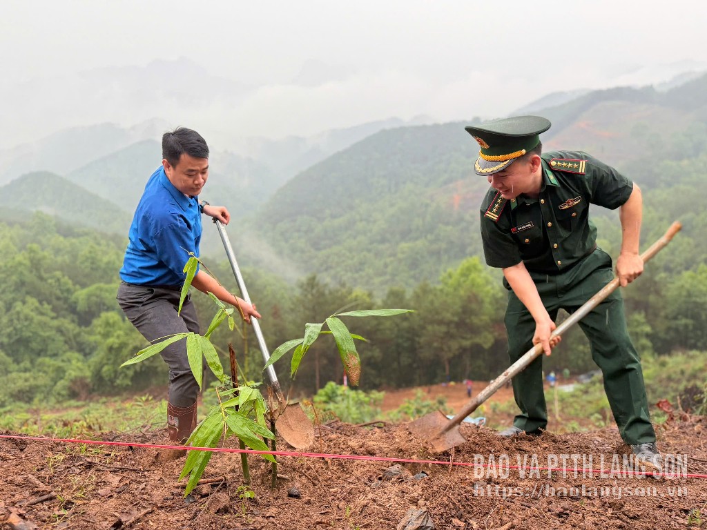 Lãnh đạo Tỉnh đoàn và lãnh đạo Ban Chỉ huy Bộ đội Biên phòng Lạng Sơn trồng tre trên tuyến biên giới xã Ba Sơn