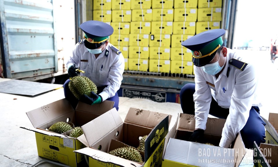 Thúc đẩy xuất khẩu sầu riêng
