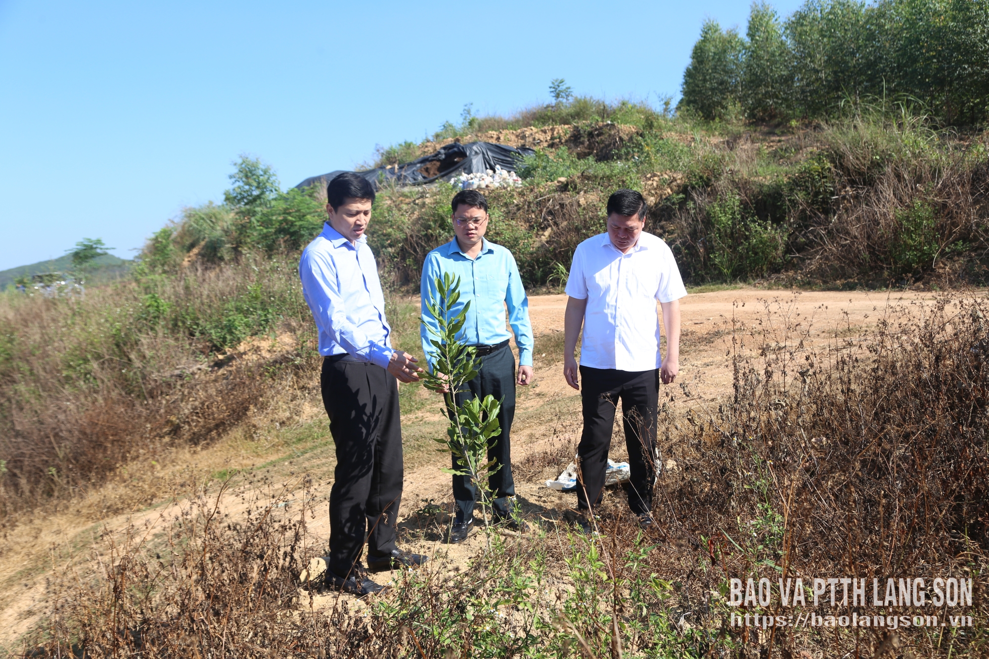 Đồng chí Phó Bí thư Tỉnh ủy và thành viên Tổ công tác kiểm tra dự án trồng cây Mác ca tại xã Quốc Việt