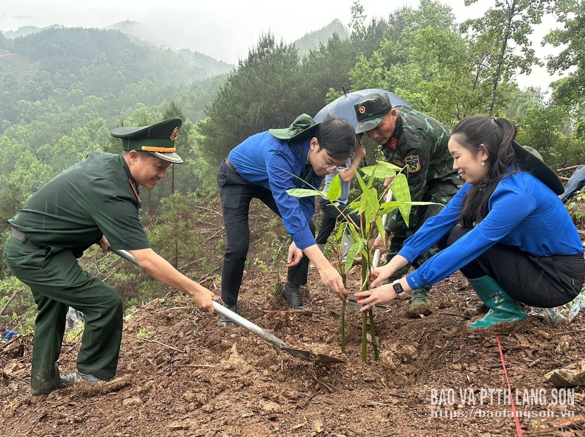 Lãnh đạo Tỉnh đoàn, Hội Liên hiệp Thanh niên tỉnh và các đơn vị phối hợp trồng tre tại khu vực biên giới xã Ba Sơn
