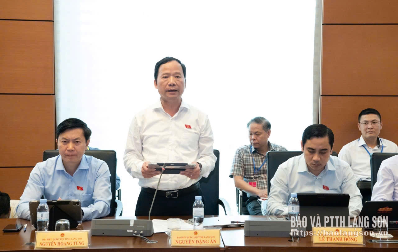 Đại biểu Nguyễn Đặng Ân, Phó Trưởng Đoàn đại biểu Quốc hội tỉnh phát biểu thảo luận tại tổ 