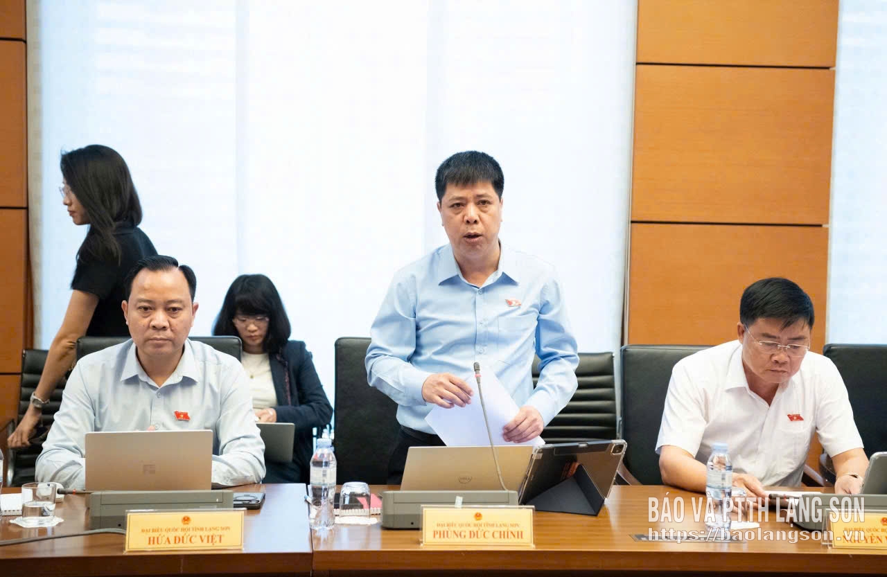 Đại biểu Phùng Đức Chính, Đoàn đại biểu Quốc hội tỉnh phát biểu thảo luận tại tổ